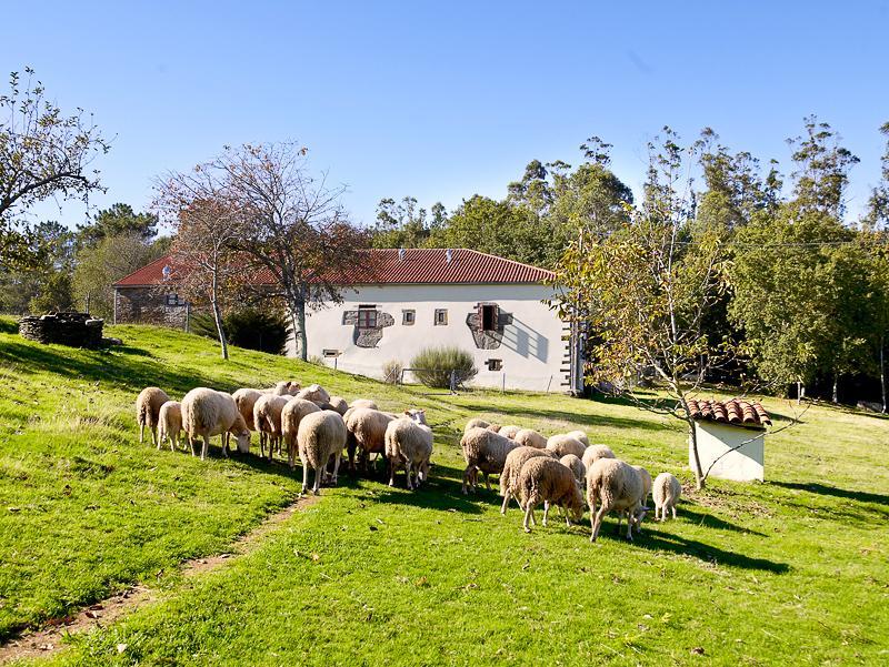 A Pena De Augasantas Konuk evi Oca de Abaixo Dış mekan fotoğraf