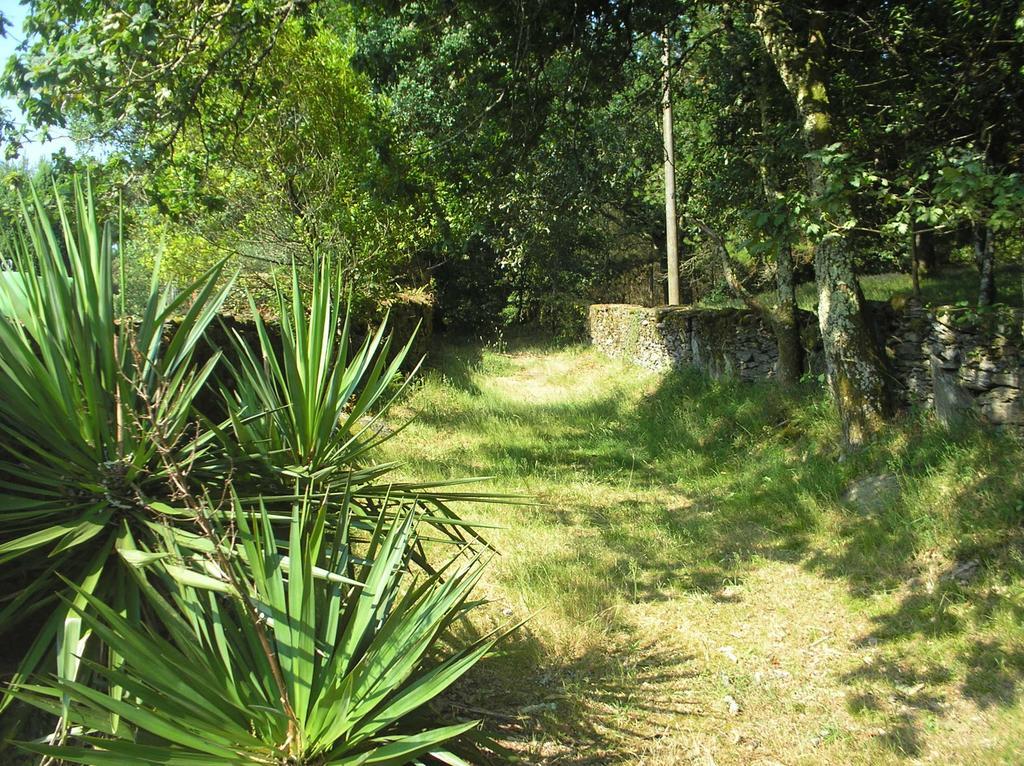 A Pena De Augasantas Konuk evi Oca de Abaixo Dış mekan fotoğraf