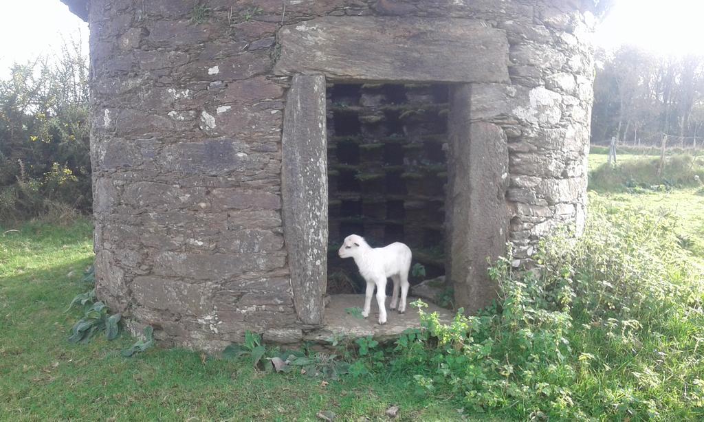 A Pena De Augasantas Konuk evi Oca de Abaixo Dış mekan fotoğraf