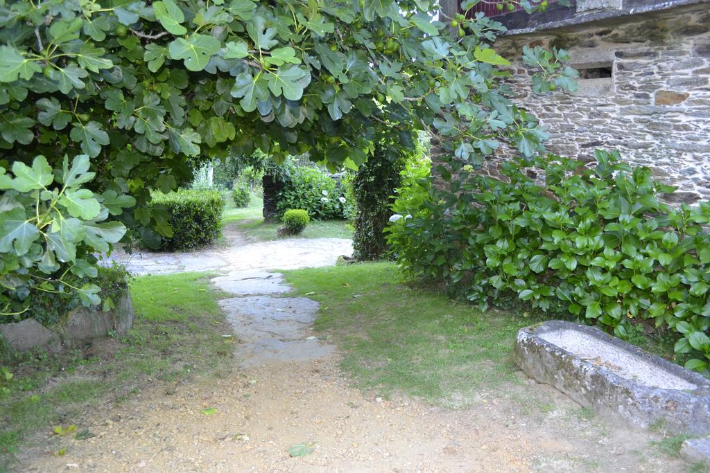 A Pena De Augasantas Konuk evi Oca de Abaixo Dış mekan fotoğraf