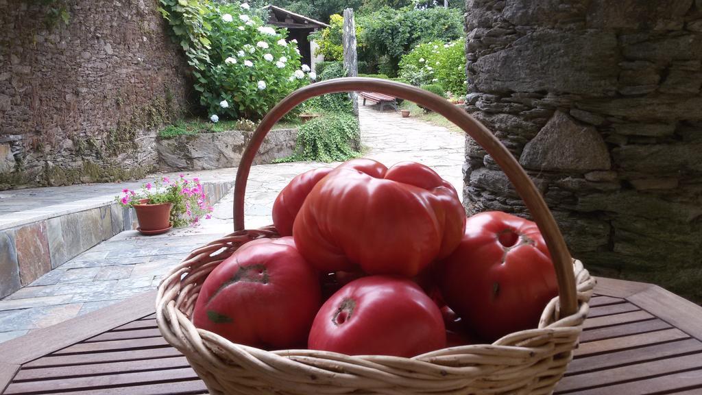 A Pena De Augasantas Konuk evi Oca de Abaixo Dış mekan fotoğraf